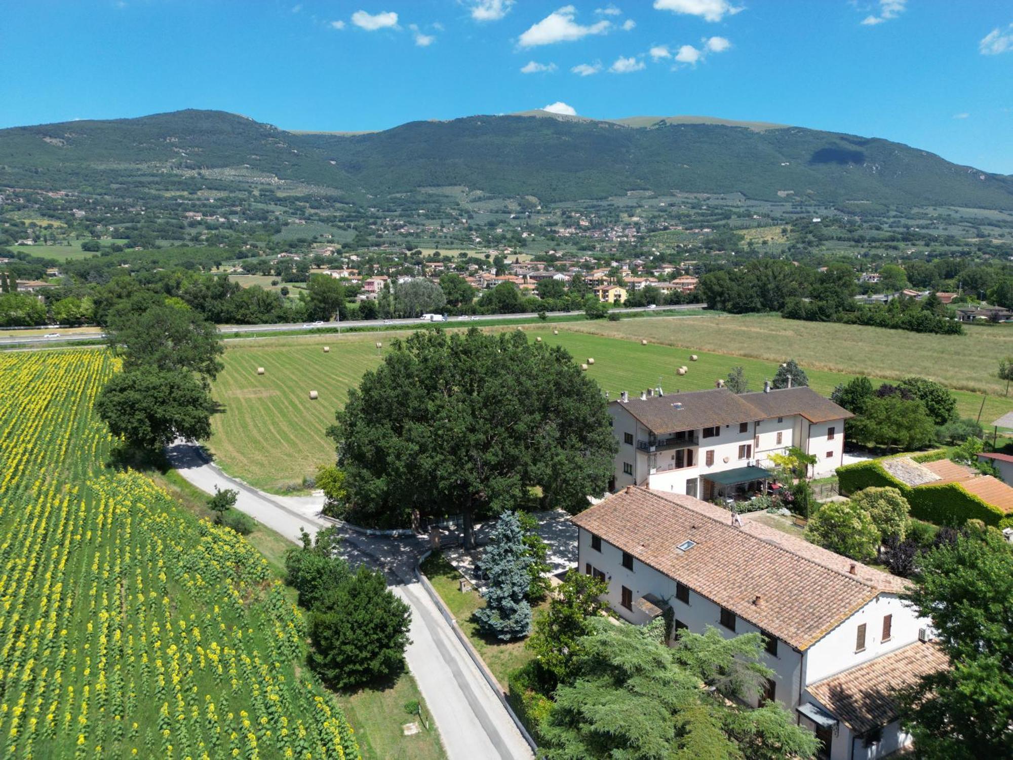 Il Quercione Agriturismo ริโวตอร์โต ภายนอก รูปภาพ
