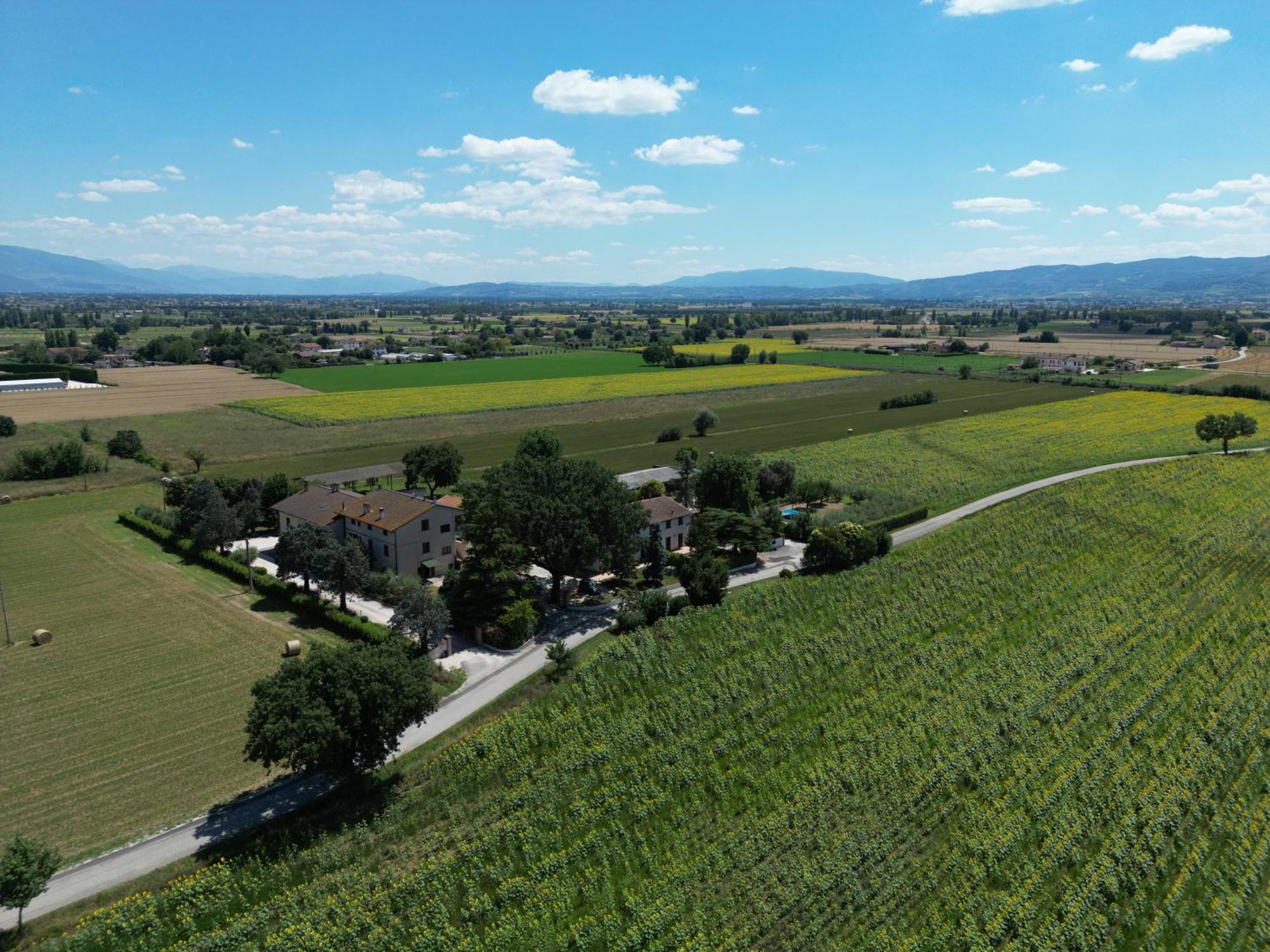Il Quercione Agriturismo ริโวตอร์โต ภายนอก รูปภาพ