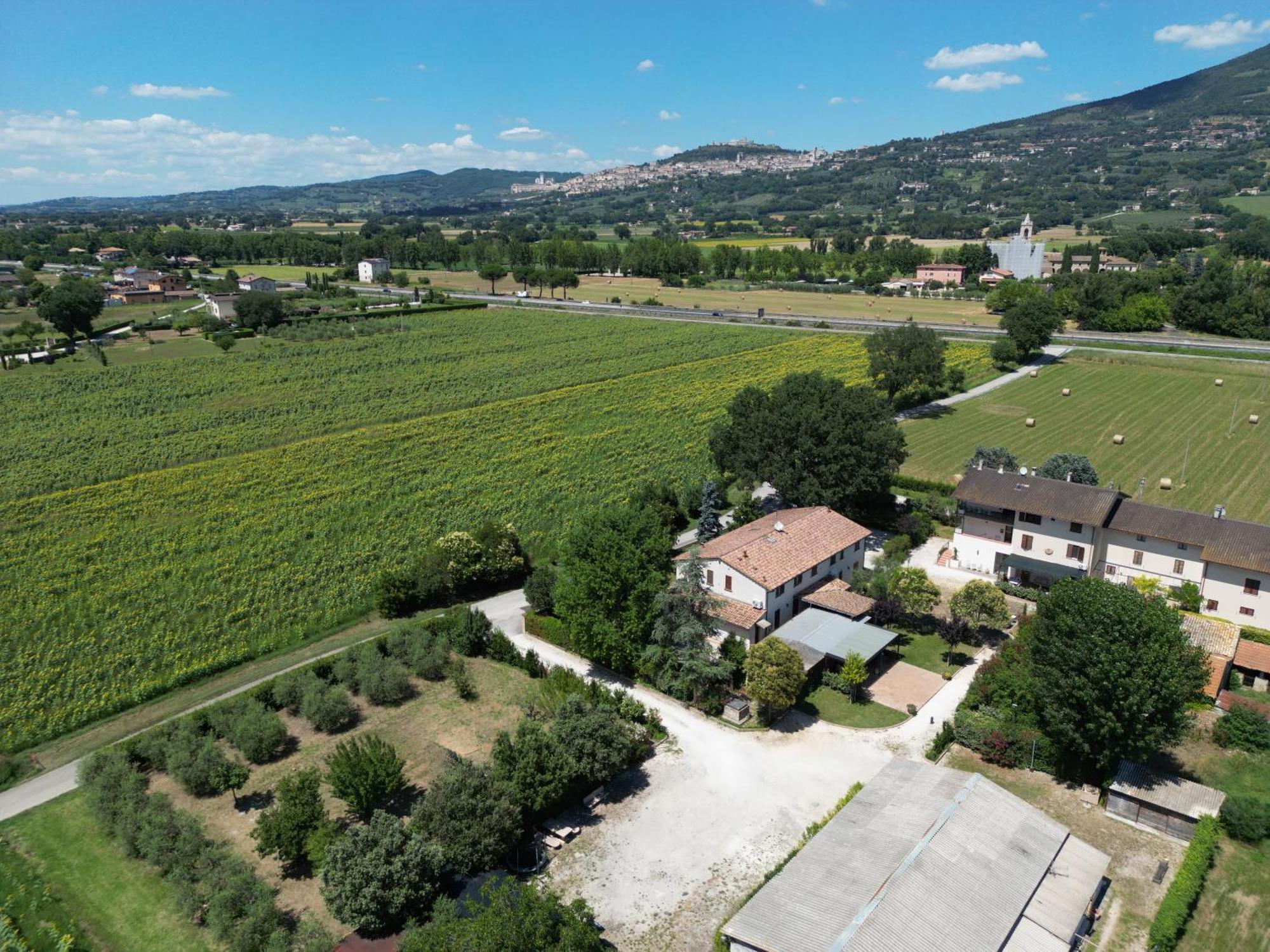 Il Quercione Agriturismo ริโวตอร์โต ภายนอก รูปภาพ